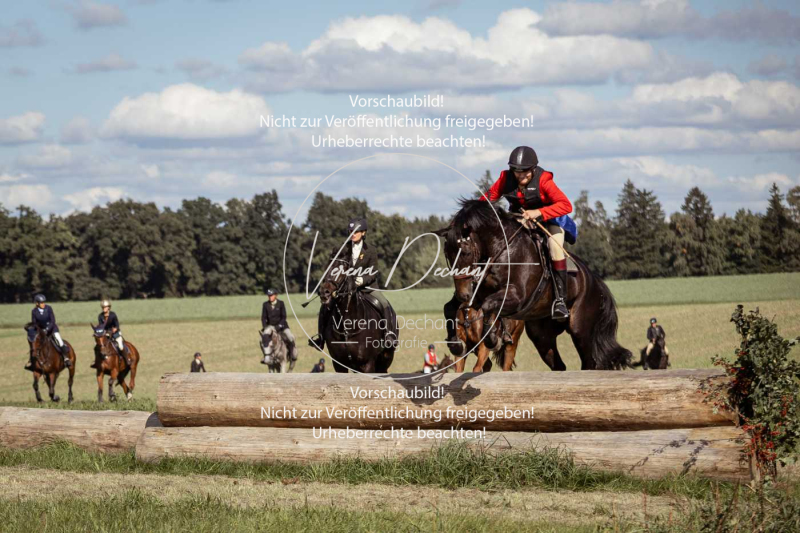 Gundelsdorf1_2025_174 Gundelsdorf1_2025_174