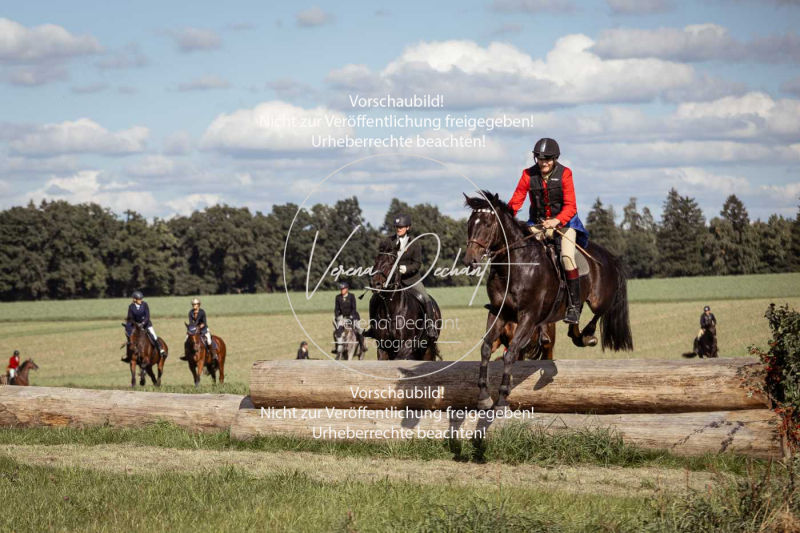 Gundelsdorf1_2025_175 Gundelsdorf1_2025_175