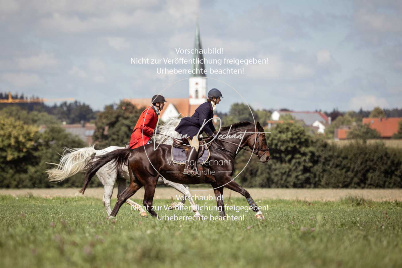 Gundelsdorf1_2025_176 Gundelsdorf1_2025_176