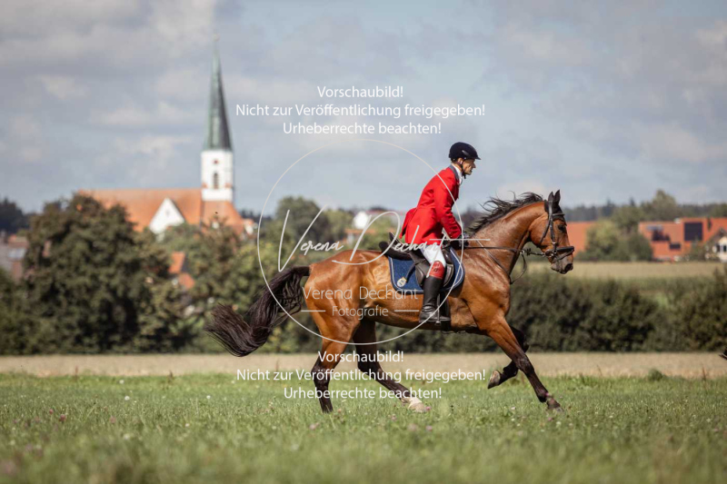 Gundelsdorf1_2025_179 Gundelsdorf1_2025_179