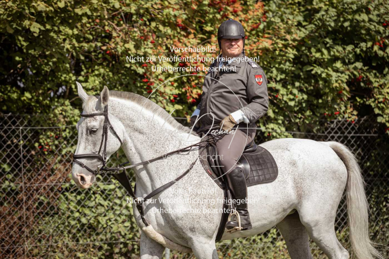 Gundelsdorf1_2025_18 Gundelsdorf1_2025_18