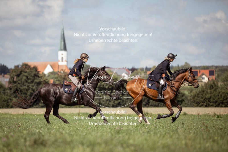 Gundelsdorf1_2025_180 Gundelsdorf1_2025_180