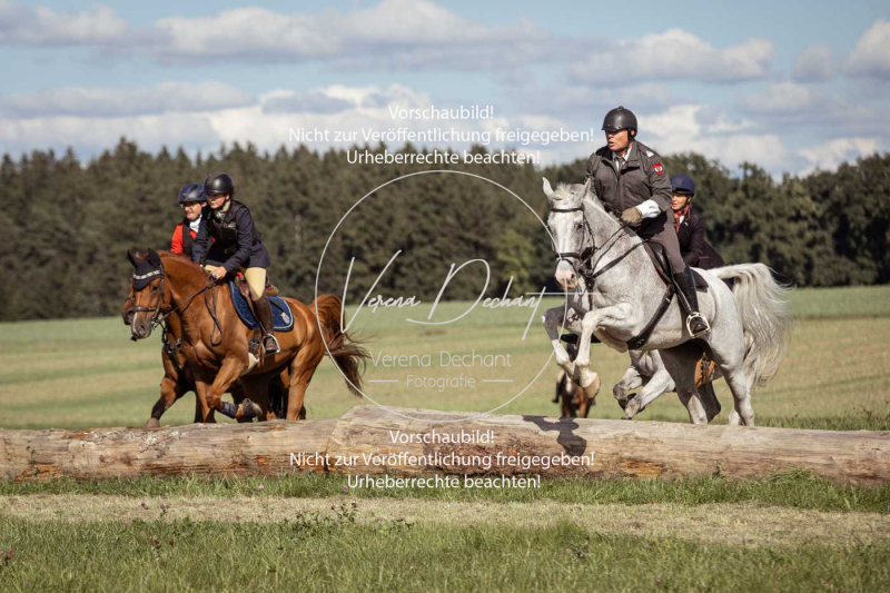 Gundelsdorf1_2025_181 Gundelsdorf1_2025_181