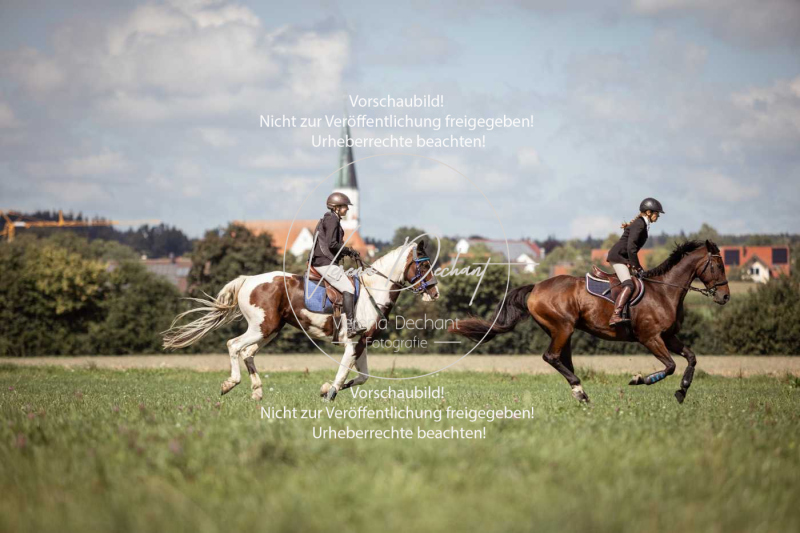 Gundelsdorf1_2025_182 Gundelsdorf1_2025_182