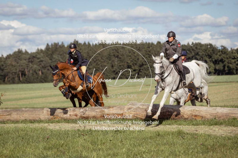 Gundelsdorf1_2025_183 Gundelsdorf1_2025_183