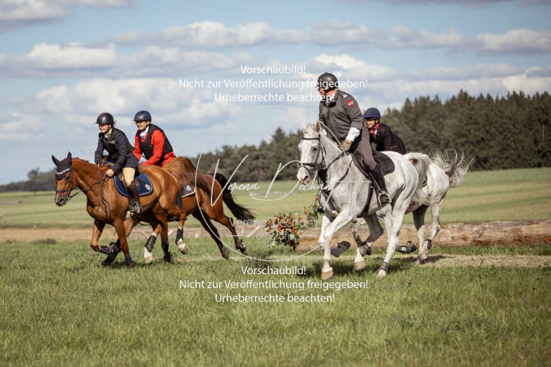 Gundelsdorf1_2025_184 Gundelsdorf1_2025_184