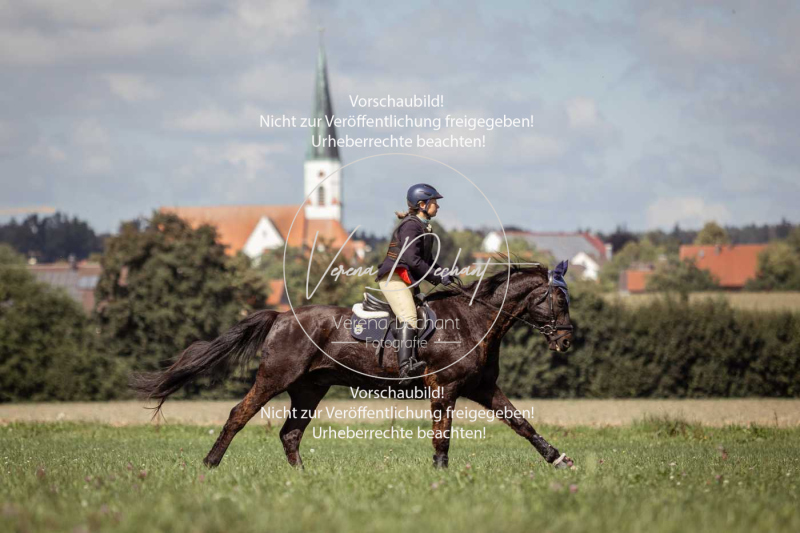 Gundelsdorf1_2025_185 Gundelsdorf1_2025_185