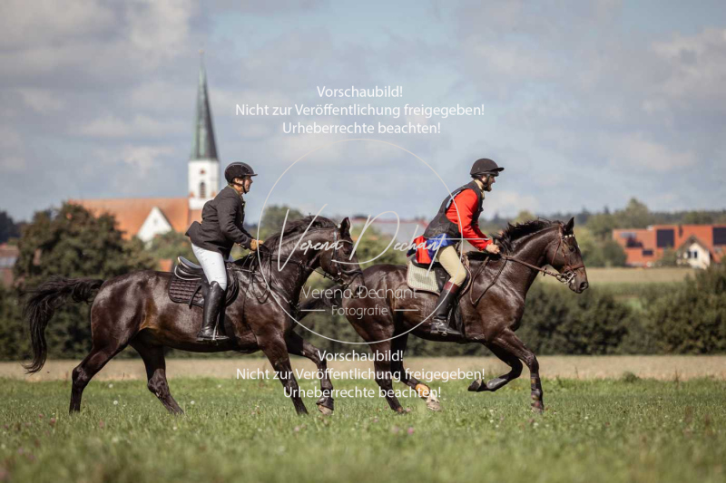 Gundelsdorf1_2025_186 Gundelsdorf1_2025_186