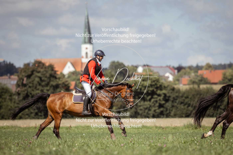 Gundelsdorf1_2025_187 Gundelsdorf1_2025_187