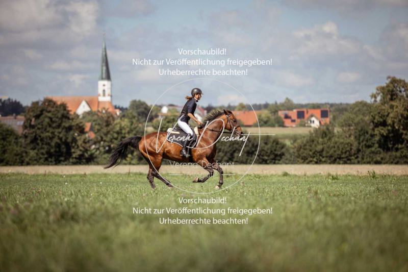 Gundelsdorf1_2025_189 Gundelsdorf1_2025_189