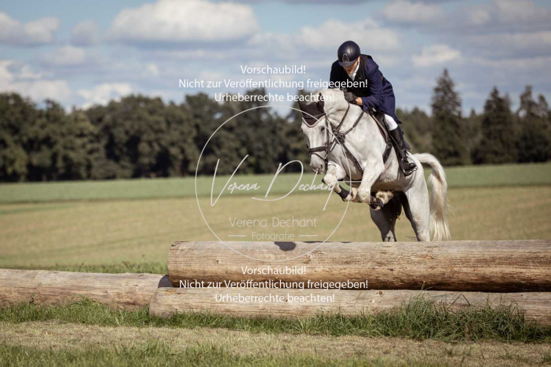 Gundelsdorf1_2025_190 Gundelsdorf1_2025_190