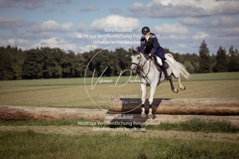 Gundelsdorf1_2025_192 Gundelsdorf1_2025_192