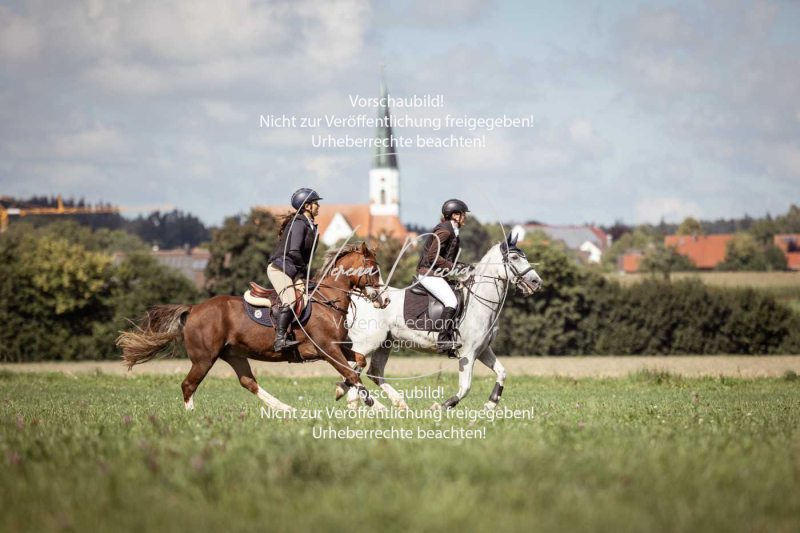 Gundelsdorf1_2025_193 Gundelsdorf1_2025_193