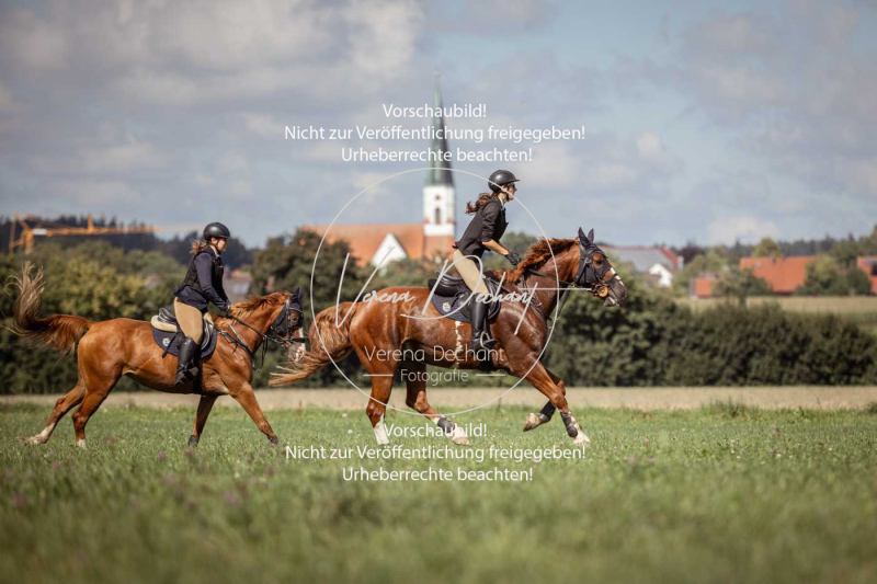 Gundelsdorf1_2025_195 Gundelsdorf1_2025_195