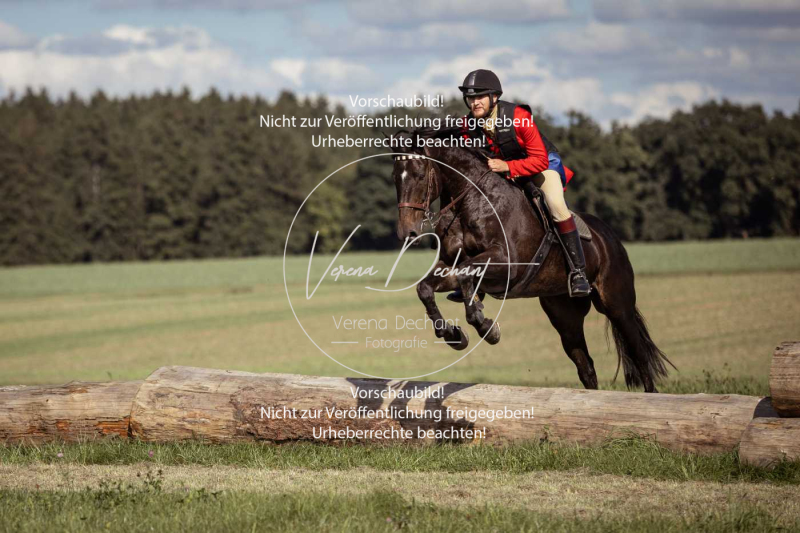 Gundelsdorf1_2025_196 Gundelsdorf1_2025_196