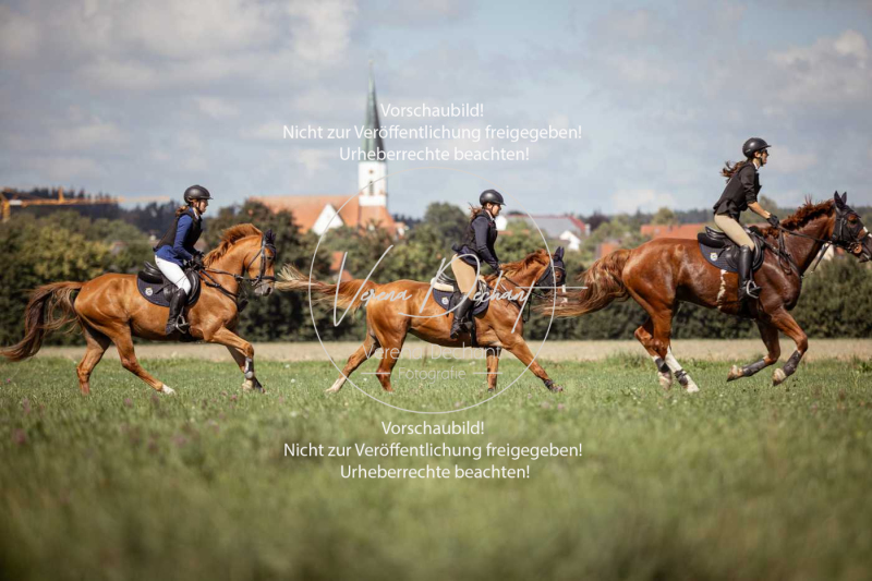 Gundelsdorf1_2025_197 Gundelsdorf1_2025_197