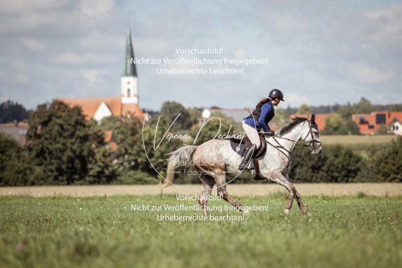 Gundelsdorf1_2025_198 Gundelsdorf1_2025_198