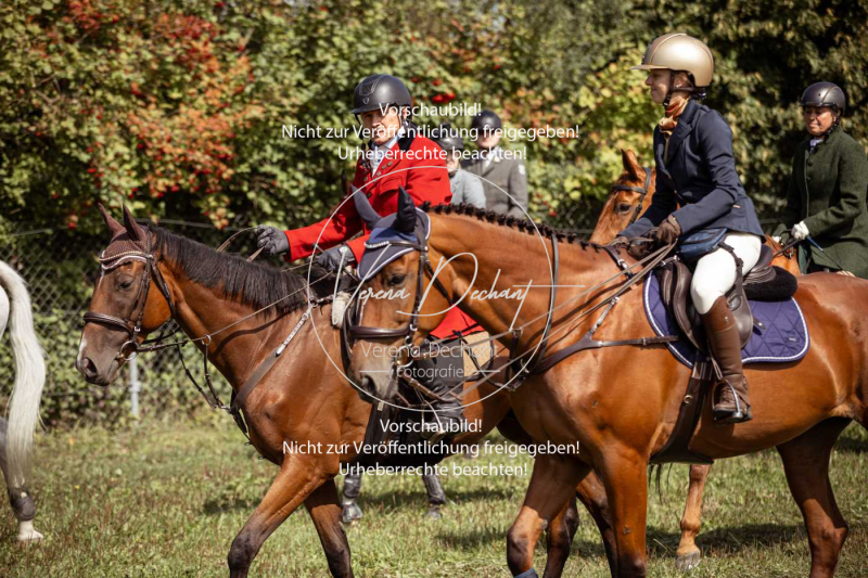 Gundelsdorf1_2025_20 Gundelsdorf1_2025_20