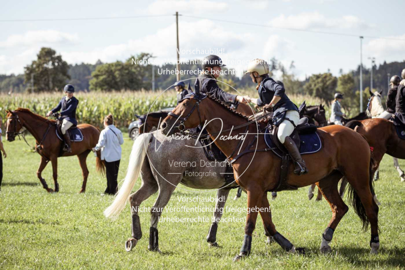 Gundelsdorf1_2025_200 Gundelsdorf1_2025_200