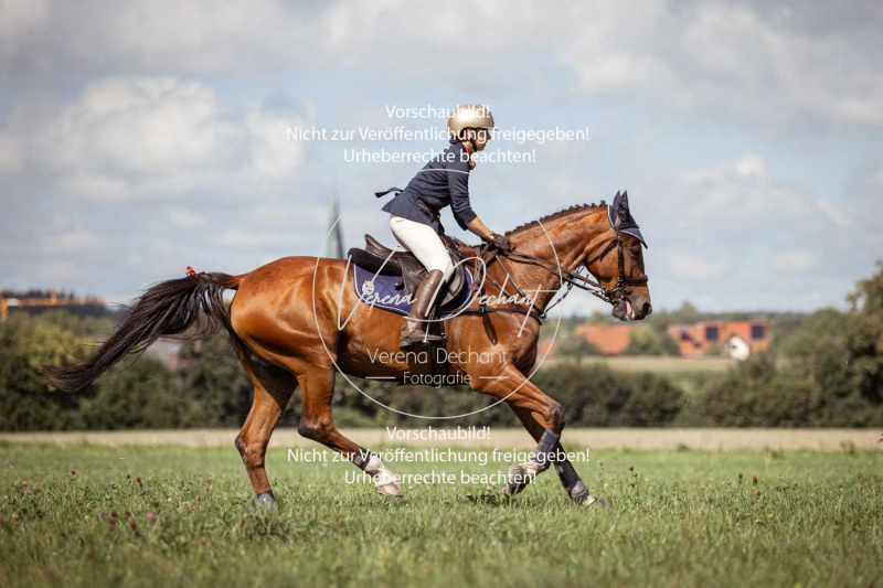 Gundelsdorf1_2025_202 Gundelsdorf1_2025_202