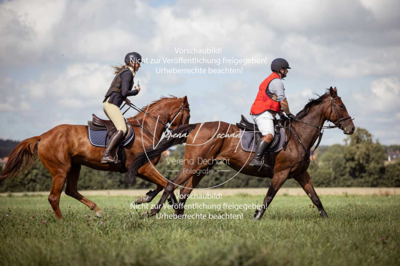 Gundelsdorf1_2025_205 Gundelsdorf1_2025_205