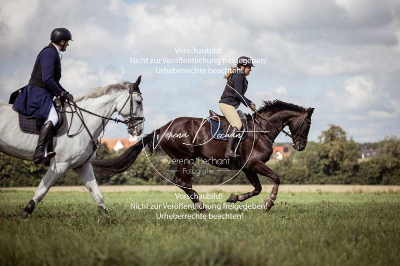 Gundelsdorf1_2025_208 Gundelsdorf1_2025_208