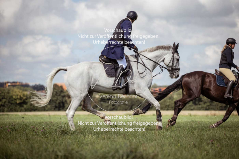 Gundelsdorf1_2025_209 Gundelsdorf1_2025_209