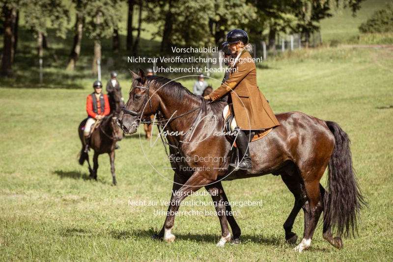 Gundelsdorf1_2025_21 Gundelsdorf1_2025_21