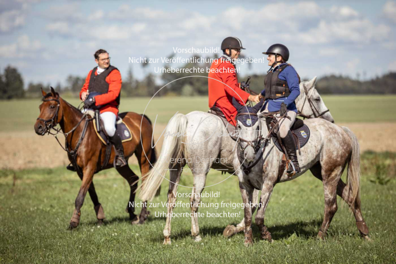 Gundelsdorf1_2025_212 Gundelsdorf1_2025_212