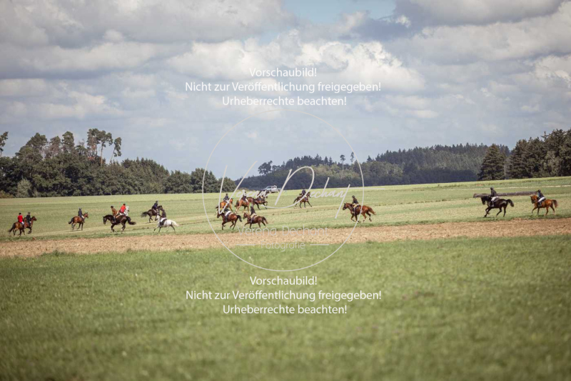 Gundelsdorf1_2025_214 Gundelsdorf1_2025_214