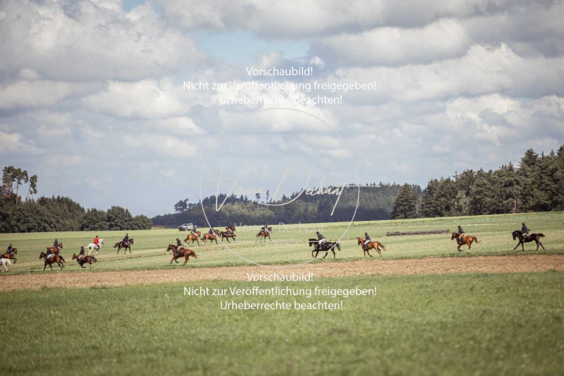 Gundelsdorf1_2025_215 Gundelsdorf1_2025_215