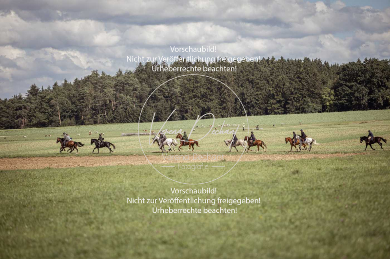 Gundelsdorf1_2025_216 Gundelsdorf1_2025_216