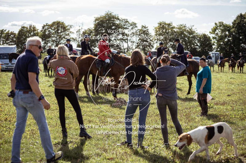 Gundelsdorf1_2025_217 Gundelsdorf1_2025_217