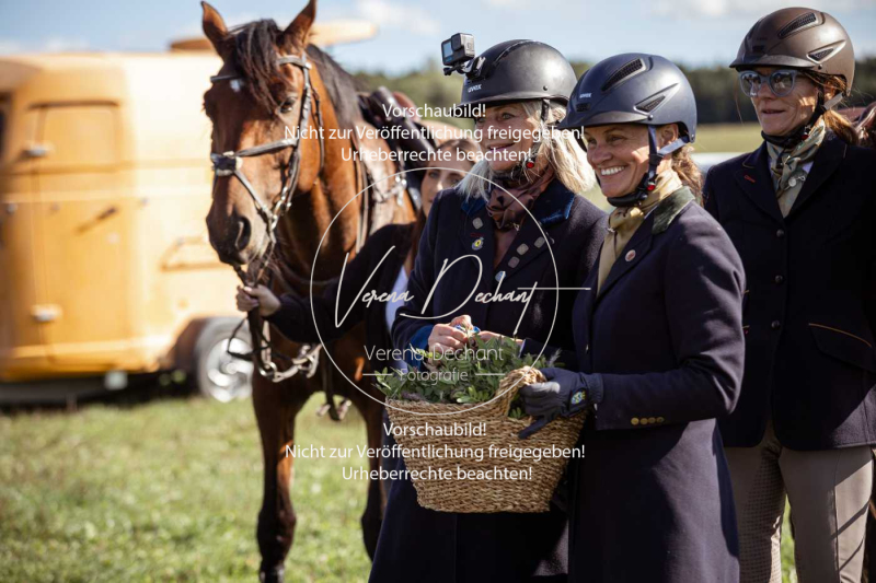 Gundelsdorf1_2025_219 Gundelsdorf1_2025_219