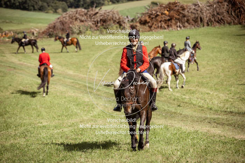 Gundelsdorf1_2025_22 Gundelsdorf1_2025_22