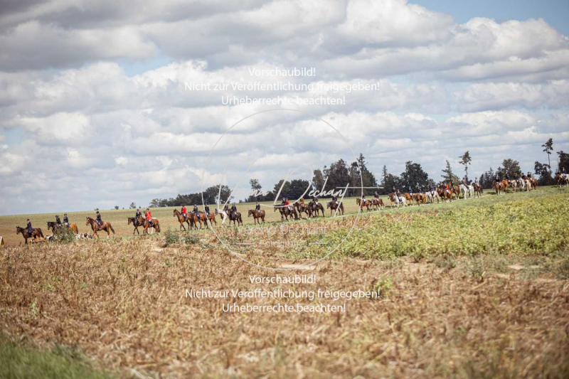 Gundelsdorf1_2025_220 Gundelsdorf1_2025_220