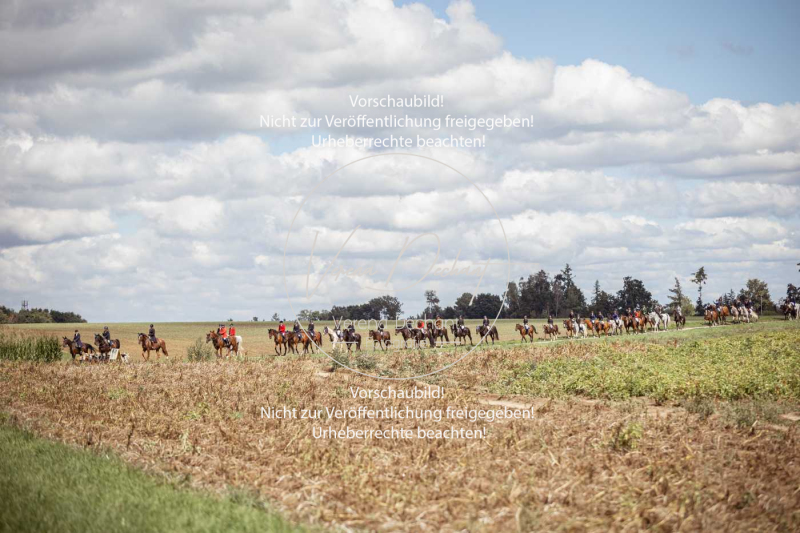 Gundelsdorf1_2025_221 Gundelsdorf1_2025_221