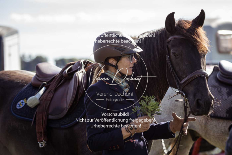 Gundelsdorf1_2025_223 Gundelsdorf1_2025_223