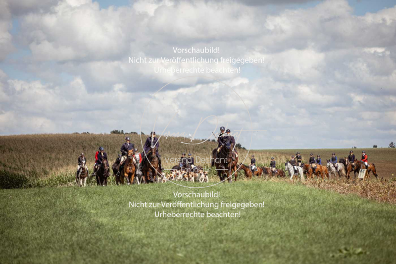 Gundelsdorf1_2025_224 Gundelsdorf1_2025_224