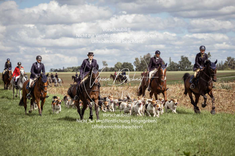 Gundelsdorf1_2025_226 Gundelsdorf1_2025_226