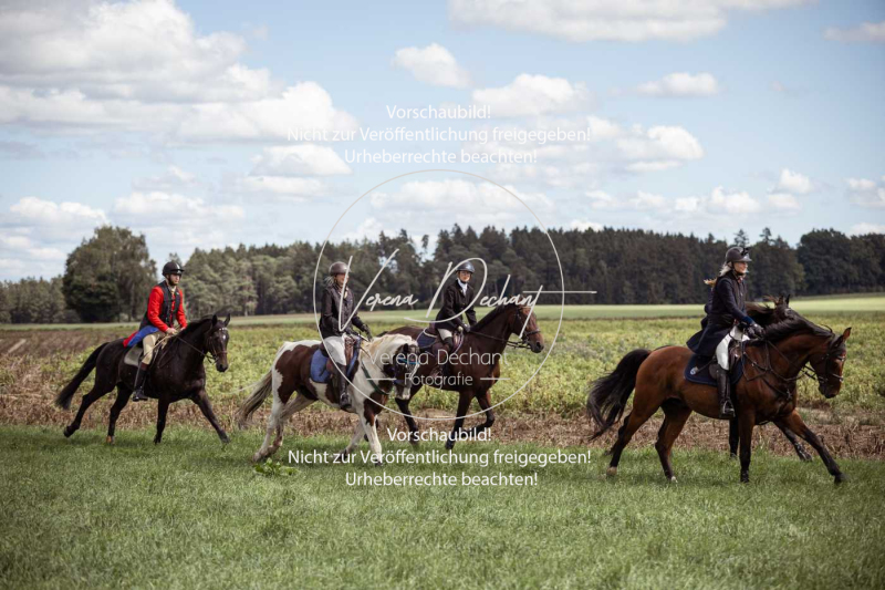 Gundelsdorf1_2025_228 Gundelsdorf1_2025_228