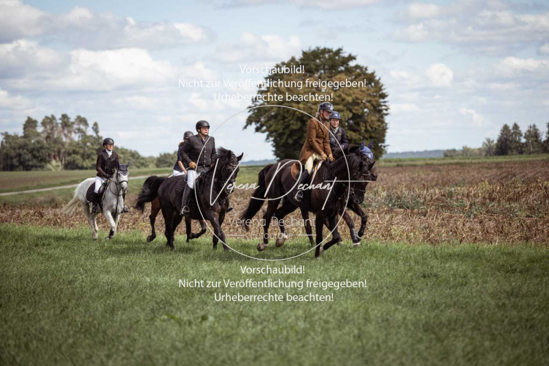 Gundelsdorf1_2025_231 Gundelsdorf1_2025_231