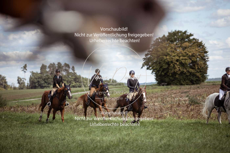 Gundelsdorf1_2025_233 Gundelsdorf1_2025_233