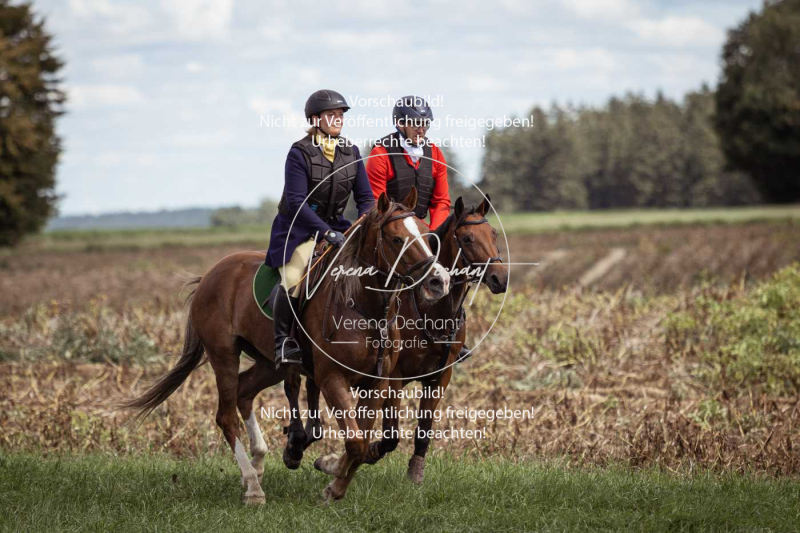 Gundelsdorf1_2025_234 Gundelsdorf1_2025_234