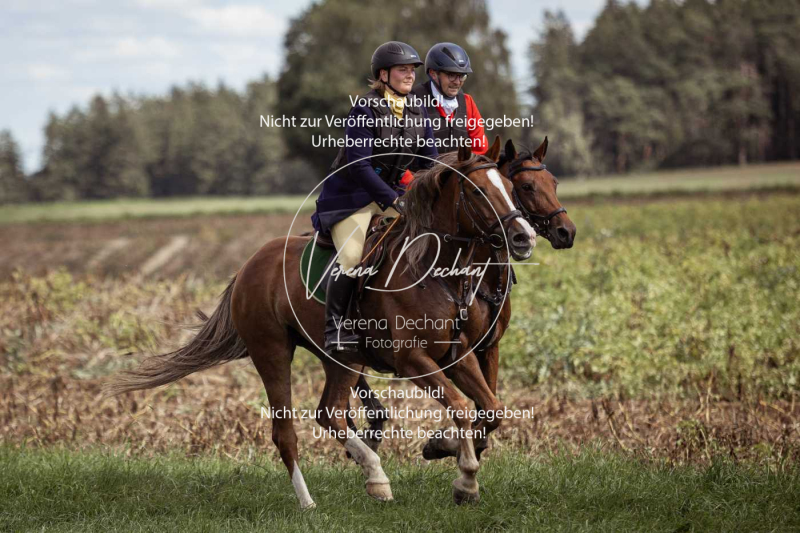 Gundelsdorf1_2025_236 Gundelsdorf1_2025_236