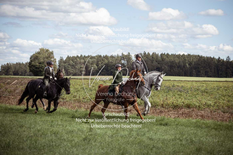 Gundelsdorf1_2025_238 Gundelsdorf1_2025_238