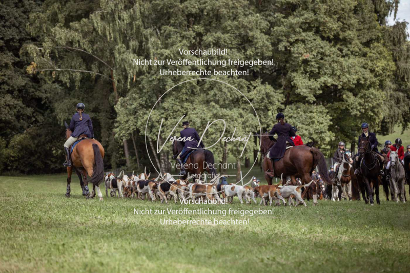 Gundelsdorf1_2025_24 Gundelsdorf1_2025_24