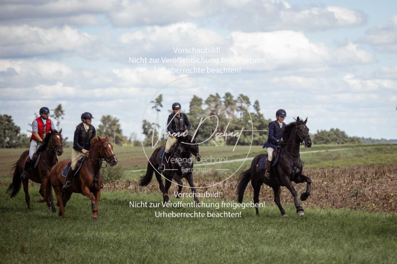 Gundelsdorf1_2025_243 Gundelsdorf1_2025_243