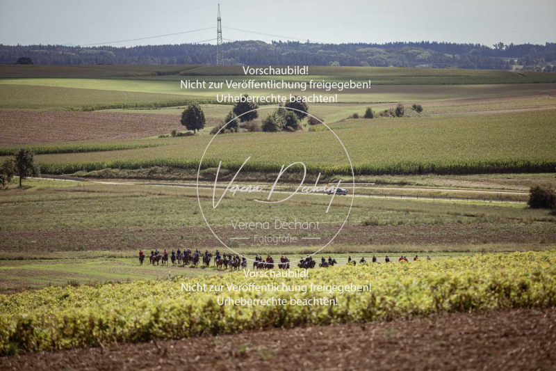 Gundelsdorf1_2025_245 Gundelsdorf1_2025_245