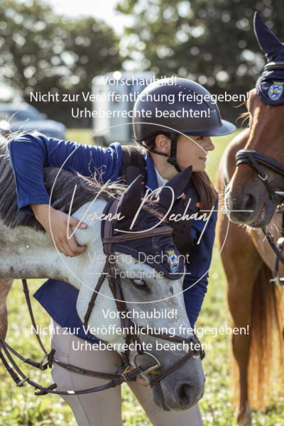 Gundelsdorf1_2025_248 Gundelsdorf1_2025_248